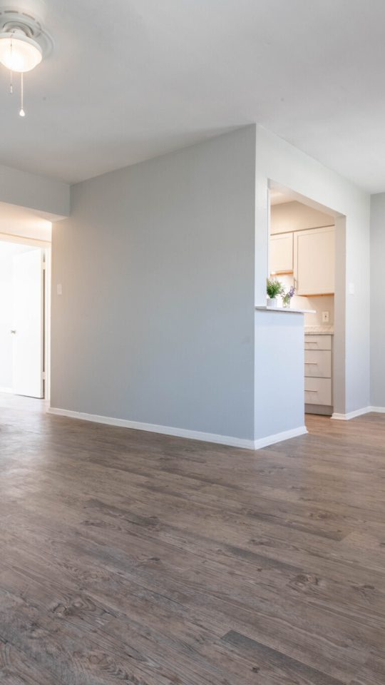 Spacious One Bedroom living and dining area flooded with natural light. Vinyl plank flooring with tow tone paint and updated LED lighting creates an inviting modern feel.